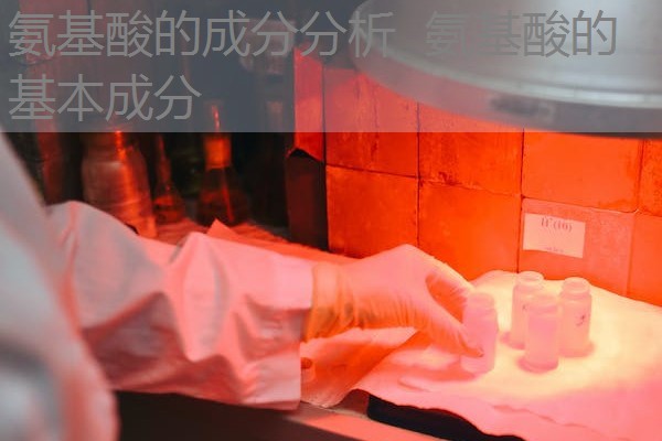 氨基酸的成分分析 氨基酸的基本成分 氨基酸的成分分析 氨基酸的基本成分