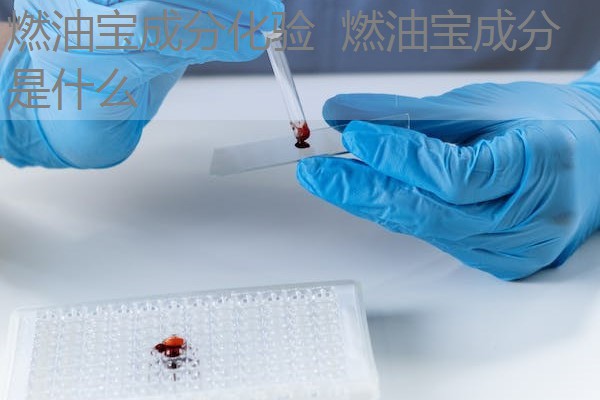 燃油宝成分化验 燃油宝成分是什么 燃油宝成分化验 燃油宝成分是什么
