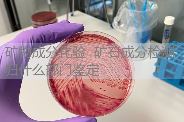 矿物成分化验 矿石成分检测归什么部门鉴定 矿物成分化验 矿石成分检测归什么部门鉴定