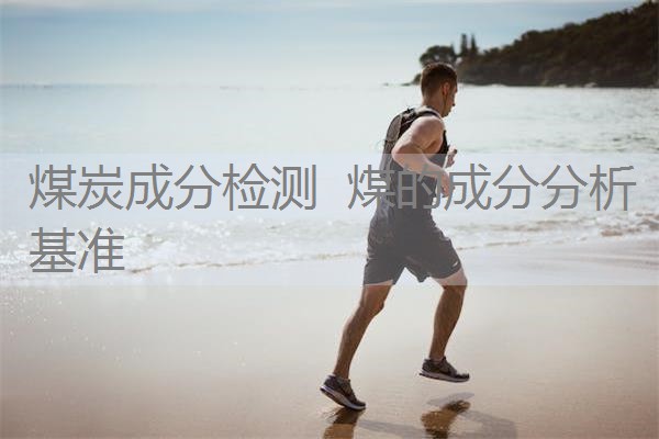 煤炭成分检测 煤的成分分析基准 煤炭成分检测 煤的成分分析基准