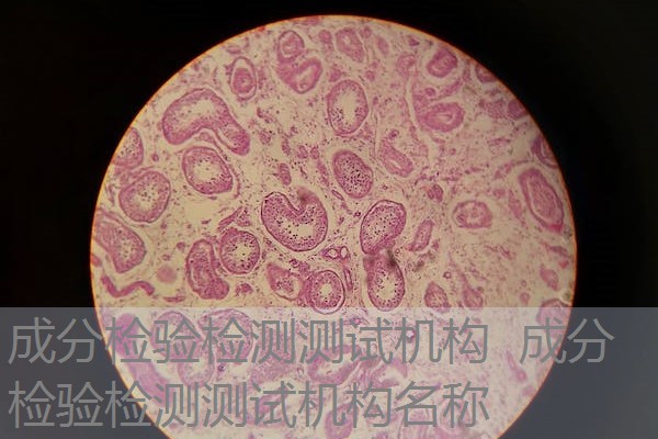 成分检验检测测试机构 成分检验检测测试机构名称 成分检验检测测试机构 成分检验检测测试机构名称