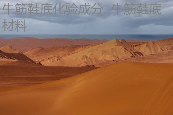 牛筋鞋底化验成分 牛筋鞋底材料 牛筋鞋底化验成分 牛筋鞋底材料