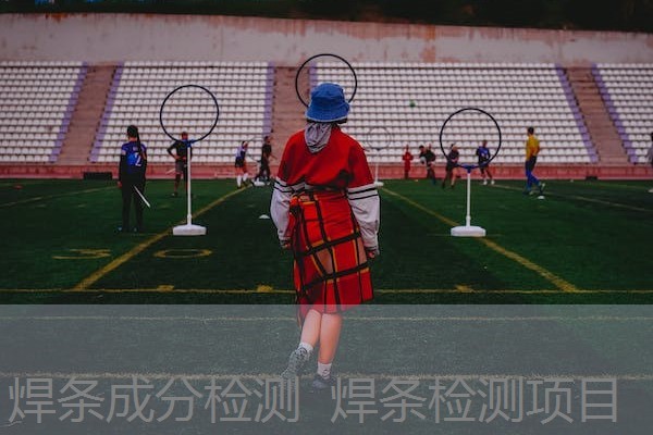 焊条成分检测 焊条检测项目 焊条成分检测 焊条检测项目
