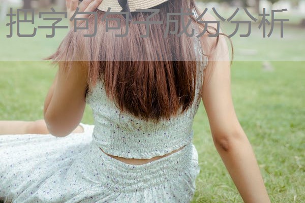 把字句句子成分分析 把字句句子成分分析