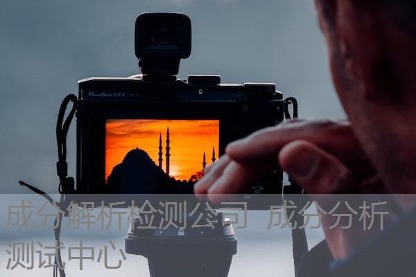 成分解析检测公司 成分分析测试中心 成分解析检测公司 成分分析测试中心