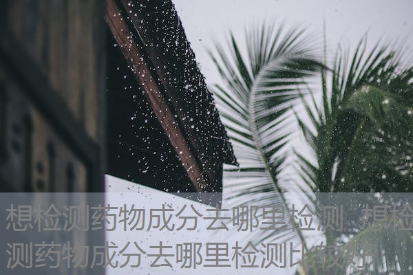 想检测药物成分去哪里检测 想检测药物成分去哪里检测比较好 想检测药物成分去哪里检测 想检测药物成分去哪里检测比较好