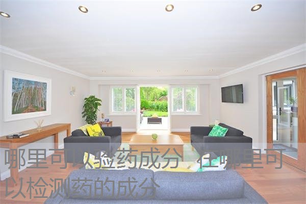 哪里可以验药成分 在哪里可以检测药的成分 哪里可以验药成分 在哪里可以检测药的成分