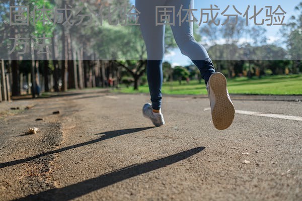 固体成分化验 固体成分化验方法 固体成分化验 固体成分化验方法