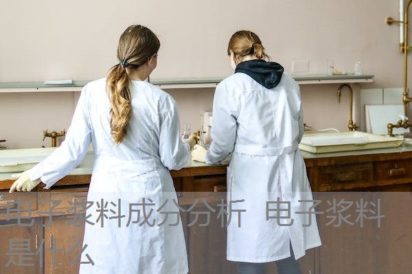 电子浆料成分分析 电子浆料是什么 电子浆料成分分析 电子浆料是什么