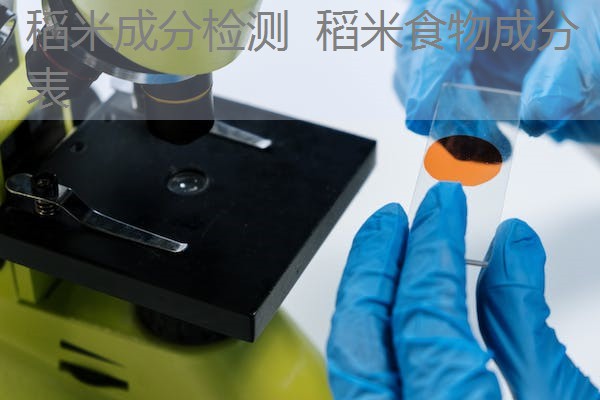 稻米成分检测  稻米食物成分表