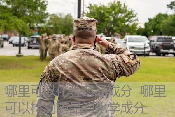 哪里可以化验药品成分 哪里可以检测药品的化学成分 哪里可以化验药品成分 哪里可以检测药品的化学成分