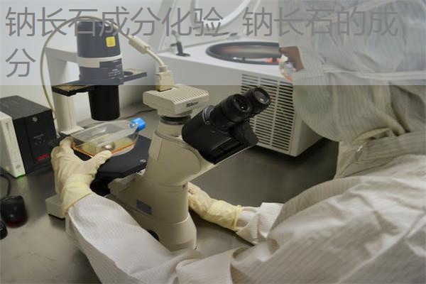 钠长石成分化验 钠长石的成分 钠长石成分化验 钠长石的成分