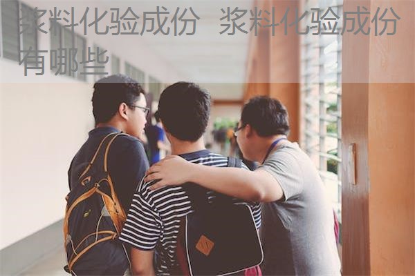 浆料化验成份  浆料化验成份有哪些