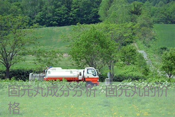 固元丸成分分析 固元丸的价格 固元丸成分分析 固元丸的价格