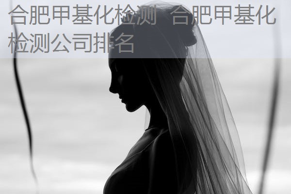 合肥甲基化检测 合肥甲基化检测公司排名 合肥甲基化检测 合肥甲基化检测公司排名