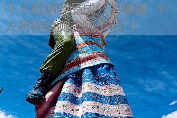 个人检测药品成分去哪里 个人药物检测去哪个部门 个人检测药品成分去哪里 个人药物检测去哪个部门