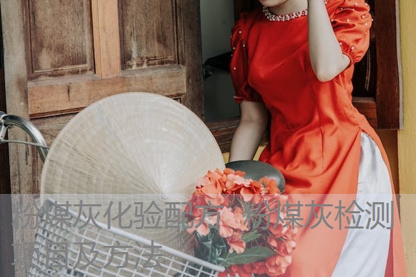 粉煤灰化验配方 粉煤灰检测项目及方法 粉煤灰化验配方 粉煤灰检测项目及方法
