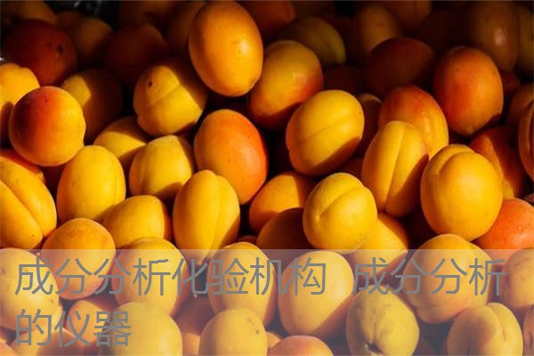 成分分析化验机构 成分分析的仪器 成分分析化验机构 成分分析的仪器
