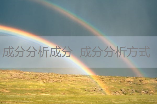 成分分析成分 成分分析方式 成分分析成分 成分分析方式