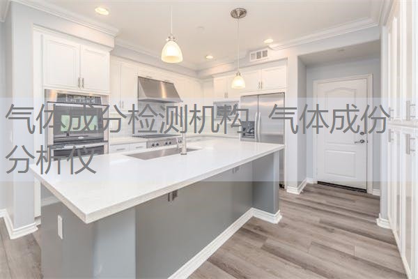 气体成分检测机构 气体成份分析仪 气体成分检测机构 气体成份分析仪