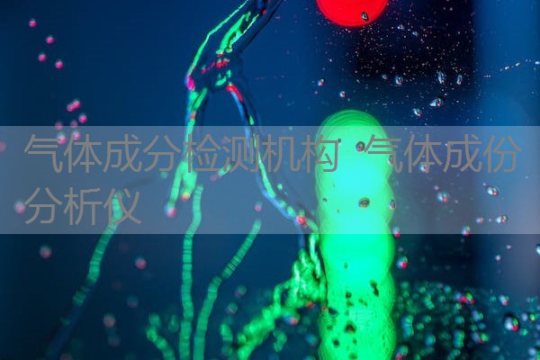 气体成分检测机构 气体成份分析仪 气体成分检测机构 气体成份分析仪