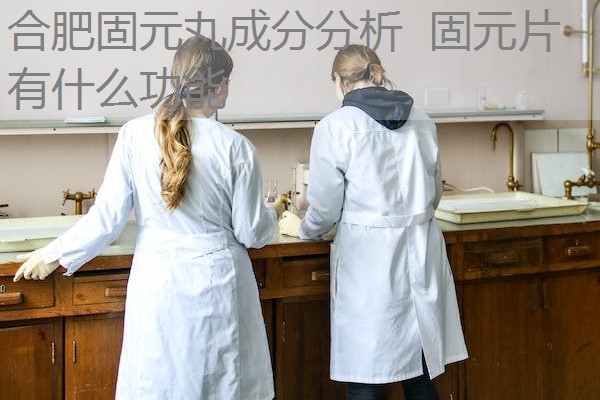 合肥固元丸成分分析 固元片有什么功能 合肥固元丸成分分析 固元片有什么功能