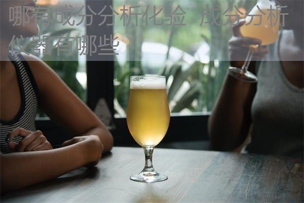 哪有成分分析化验 成分分析仪器有哪些 哪有成分分析化验 成分分析仪器有哪些