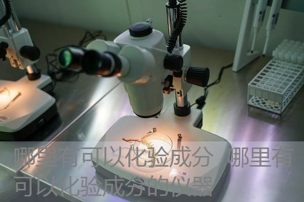 哪里有可以化验成分 哪里有可以化验成分的仪器 哪里有可以化验成分 哪里有可以化验成分的仪器