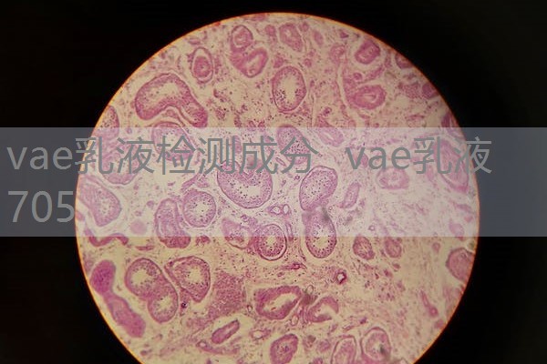 vae乳液检测成分 vae乳液705 vae乳液检测成分 vae乳液705