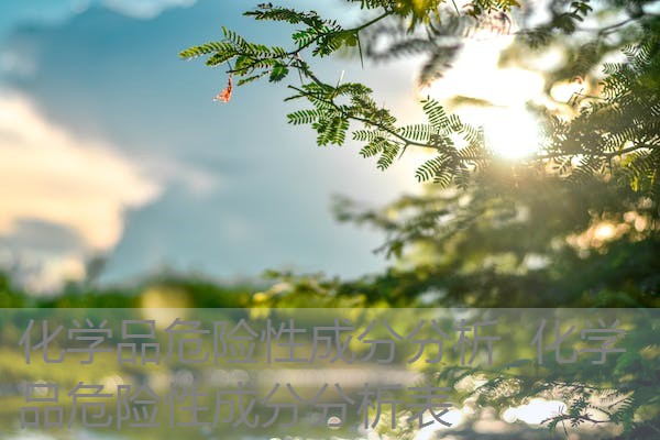 化学品危险性成分分析 化学品危险性成分分析表 化学品危险性成分分析 化学品危险性成分分析表