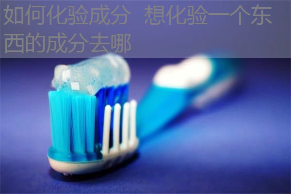 如何化验成分 想化验一个东西的成分去哪 如何化验成分 想化验一个东西的成分去哪