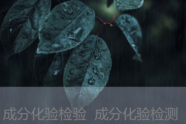 成分化验检验 成分化验检测 成分化验检验 成分化验检测
