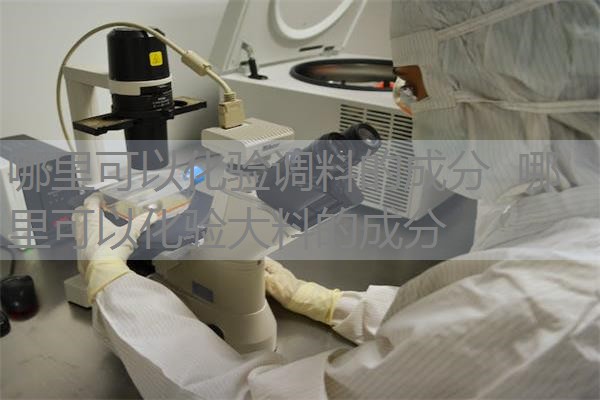 哪里可以化验调料的成分  哪里可以化验大料的成分