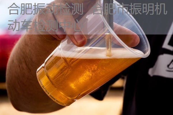 合肥振动检测 合肥市振明机动车检测中心 合肥振动检测 合肥市振明机动车检测中心