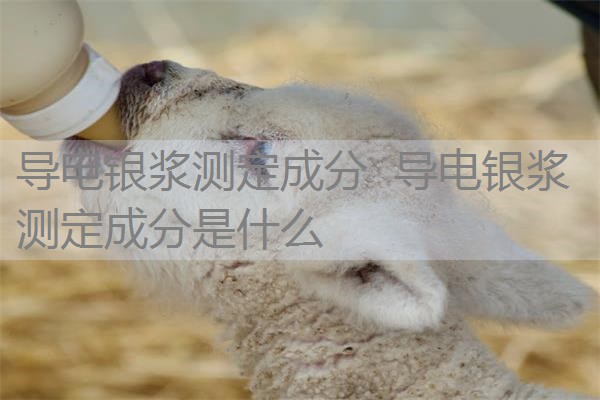 导电银浆测定成分 导电银浆测定成分是什么 导电银浆测定成分 导电银浆测定成分是什么