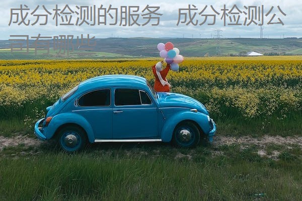 成分检测的服务  成分检测公司有哪些