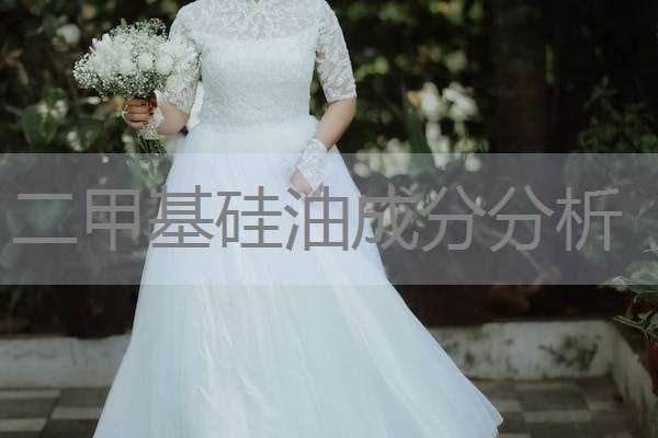 二甲基硅油成分分析 二甲基硅油成分分析