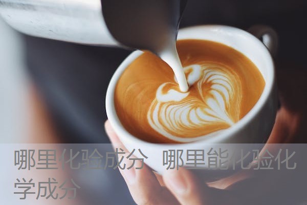 哪里化验成分 哪里能化验化学成分 哪里化验成分 哪里能化验化学成分
