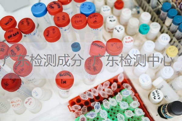 广东检测成分  广东检测中心