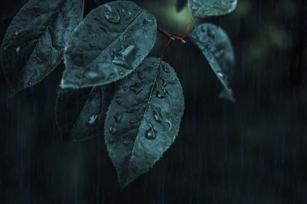 第三方汽车漆检测机构，车漆第三方检测中心